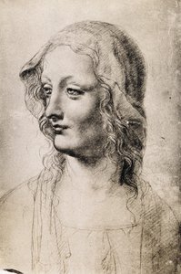 Head of a Young Woman by Leonardo da Vinci